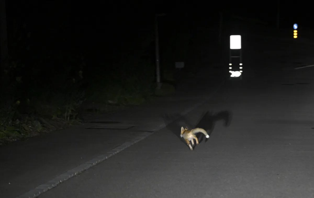 Zeitungszustellung am frühen Morgen in Wernetshausen.